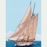 Cuba está em chamas. Agustín Ferrer Casas.